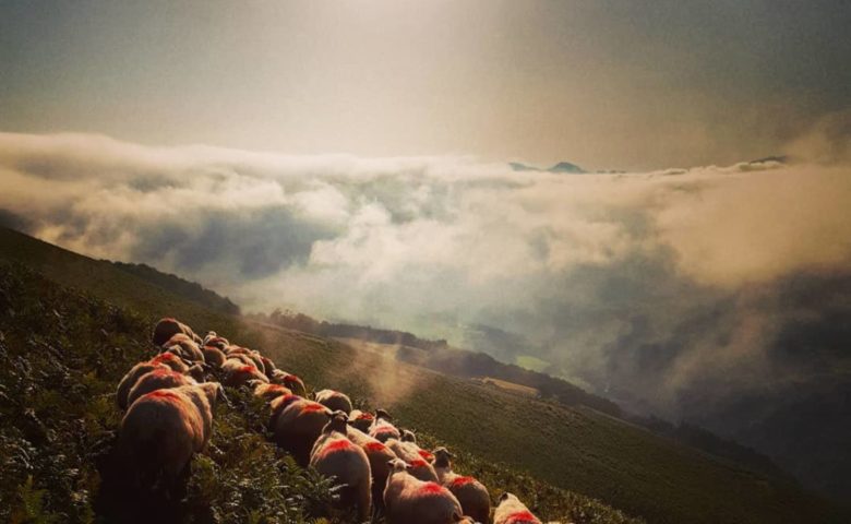 UNE NOUVELLE AMBITION COLLECTIVE POUR LA MONTAGNE
